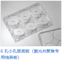 6 孔小孔玻底板（激光共聚焦專用培養板）