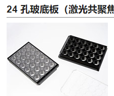24孔玻底板（激光共聚焦專用培養板）